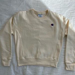 Champion sweater